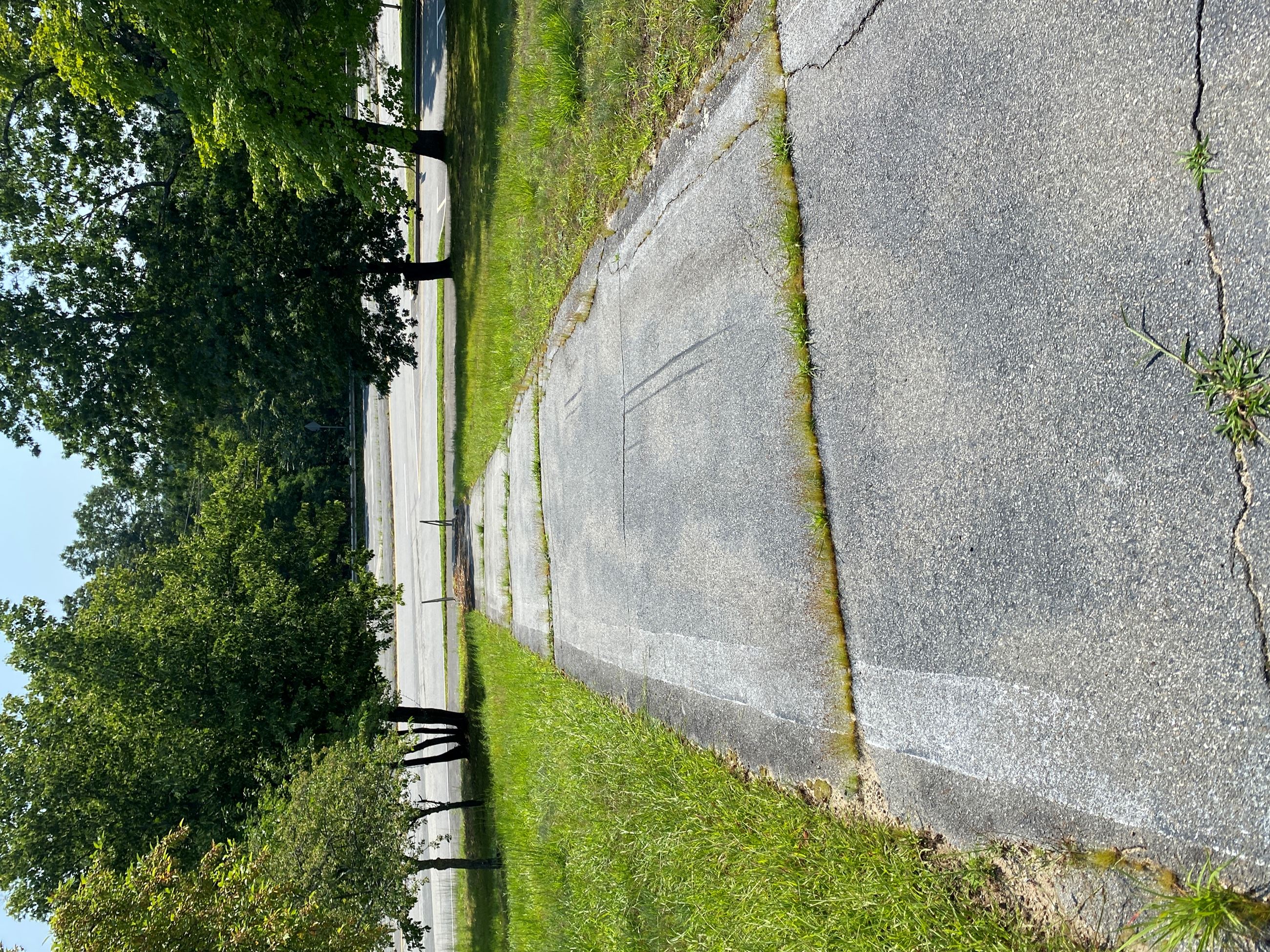 20210727_145213695_iOS